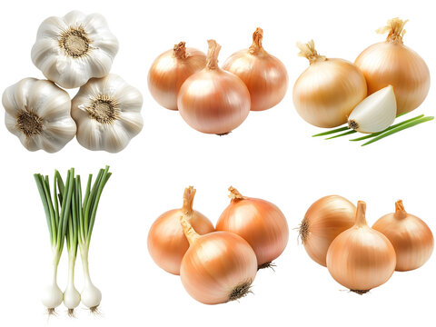 onion and garlic