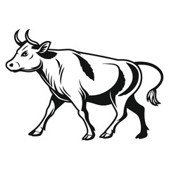 Black Cow silhouette vector icon set isolated on white background.