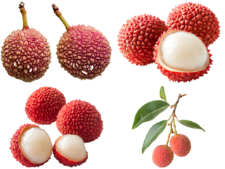 lychee isolated on white background