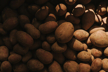 Sweet potato at small local urban market. Organic produce on sale at outdoor farmer market. Selling fresh crops and veggies harvest. European urban setting. Close up. Part of the series