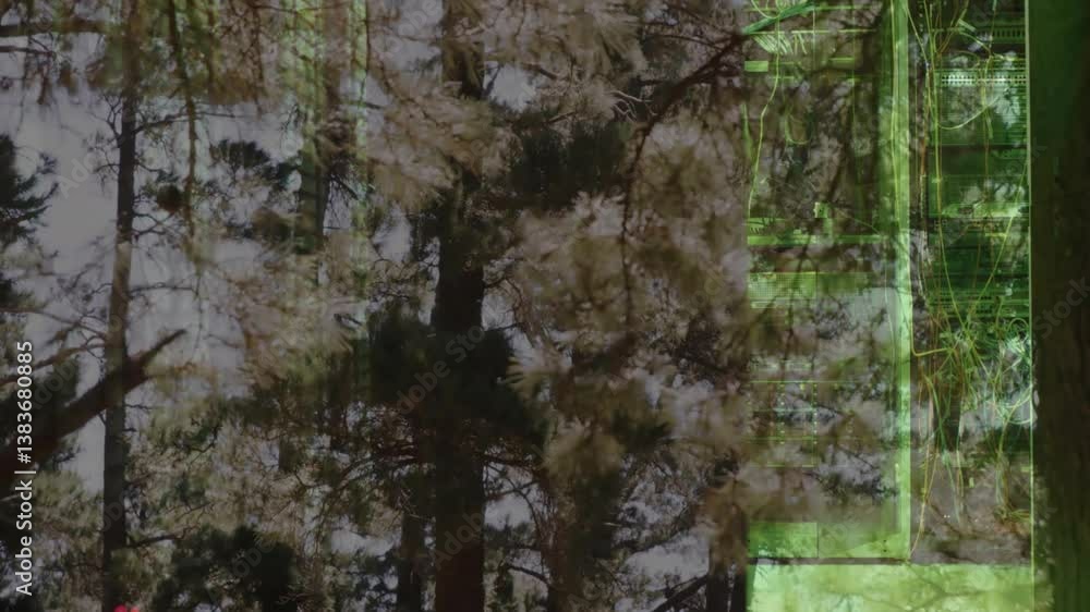 Poster digital green data processing animation overlaying pine trees in forest scene