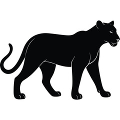 Obraz premium Black Panther Silhouette Vector - Wildlife Art, Illustration
