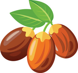 Date fruits vector in white background 