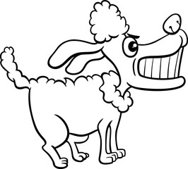 funny cartoon angry poodle purebred dog coloring page