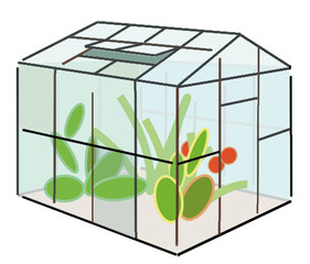 simple greenhouse 250404