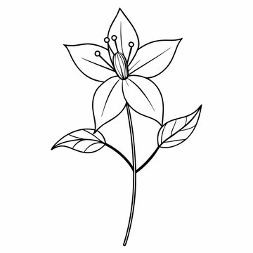 black and white flower drawing clip art preview