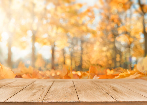 Autumn empty wooden table with falling yellow maple leaves on defocused autumn forest nature background at sunset. Thanksgiving, Halloween or autumn background with copy space.