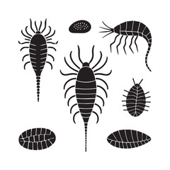 black and white vector design representing various microscopic organisms, often found in water ecosystems