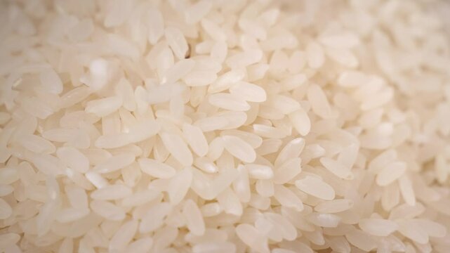 Pristine white rice grains filling frame gradually, revealing intricate texture and natural abundance in detailed slow-motion view of fundamental agricultural staple