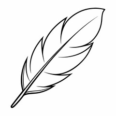 Obraz premium Feather Outline Coloring Book Page Line Art Drawing