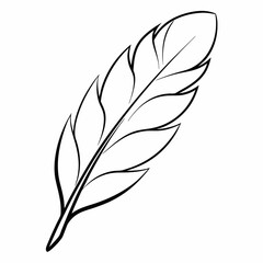 Fototapeta premium Feather Outline Coloring Book Page Line Art Drawing