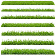 green grass on white background