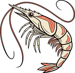 Isolated Colorful Shrimp Vector Illustration Artwork on White Background 02 eps 10 PNG Tattoo Design Clipart Fish Seafood