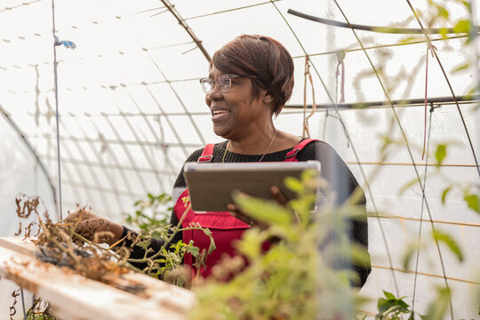 Farmer using digital tablet examining plants growing in greenhouse - Powered by Adobe