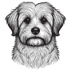 Maltese. Vector illustration of a dog head. Drawing of a fluffy pet's face. Portrait of a furry dog.