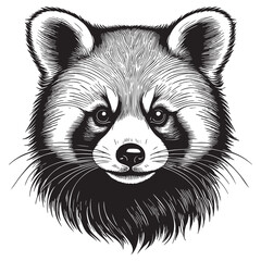 Black and white vector illustration of a red panda head. Detailed drawing of a cute wild animal. 