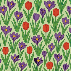 Spring Crocus Tulip Background in Vector