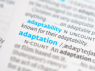 Fototapeta premium Definition of “adaptation”. Meaning of adjustment, change, modification, suitability, dictionary term, biological concept.