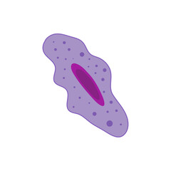 Human bone cells osteopenia, osteoclast, osteocyte, octeoblast. Medical science educational illustration.