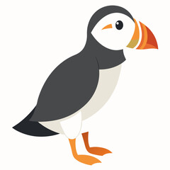 Minimalist Atlantic Puffin Vector on White Background