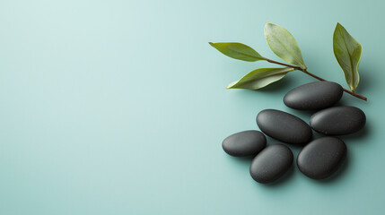 Six black matte sea stones with green plants, placed on the right side of a light blue surface with free space for background or text, or design