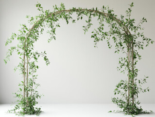 Obraz premium minimalist wedding arch adorned with simple greenery