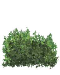 Obraz premium Bush