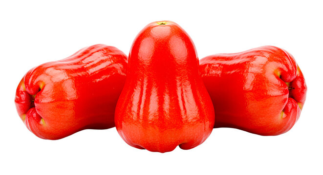 A close up studio shot of three vibrant red rose apples against a stark black background showing detail 100