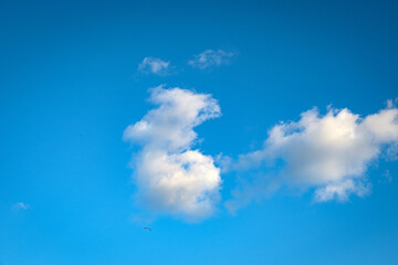white cumulus clouds in blue sky