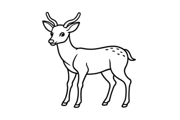 deer vector illustration