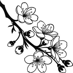 cherry blossom branch vector 