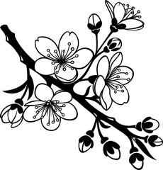 cherry blossom branch vector 