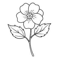 Obraz premium Potentilla Flower Outline Vector – Line Art Drawing for Coloring Book Page on White Background