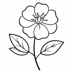 Fototapeta premium Potentilla Flower Outline Vector – Line Art Drawing for Coloring Book Page on White Background