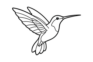 Obraz premium hummingbird vector illustration