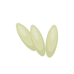 Bed bug eggs. Vector science Educational illustration.