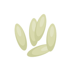 Bed bug eggs. Vector science Educational illustration.