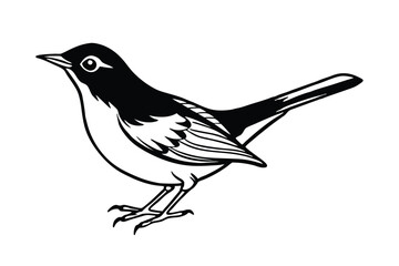 Obraz premium warbler bird on a white background