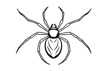 spider on a white background