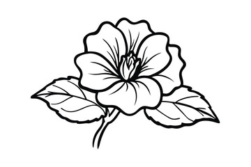 hand drawn coloredrose mallow flowers