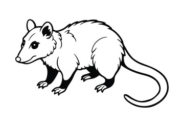 Obraz premium vector illustration of a opossum
