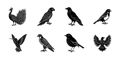 Birds Bundle collection