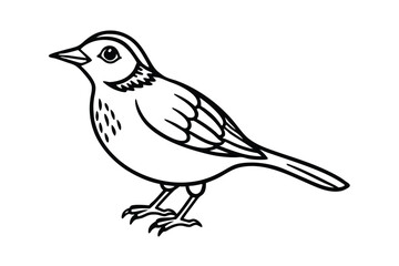 Fototapeta premium skylark of a bird