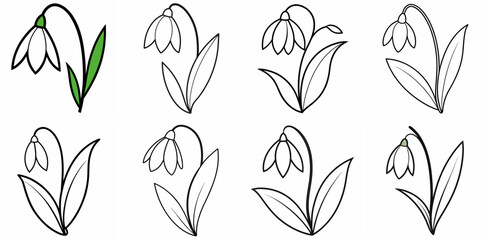 Fototapeta premium Snowdrop Outline Vector Set – Line Art Drawing for Coloring Book Page on White Background