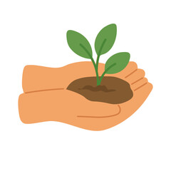 Two hands gently hold a young green plant. Symbol of care, growth and nature protection.