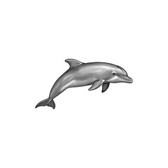 Obraz premium Cartoon Dolphin – Cute Marine Animal Isolated on Transparent Background