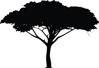 silhouette of a tree