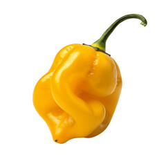 Habanero chili yellow hot pepper isolated on transparent background, png