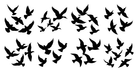 Collection of Black Silhouettes of Birds in Flight Diverse Poses and Angles