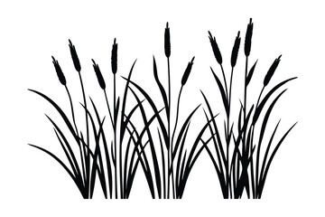 grass silhouette isolated on white